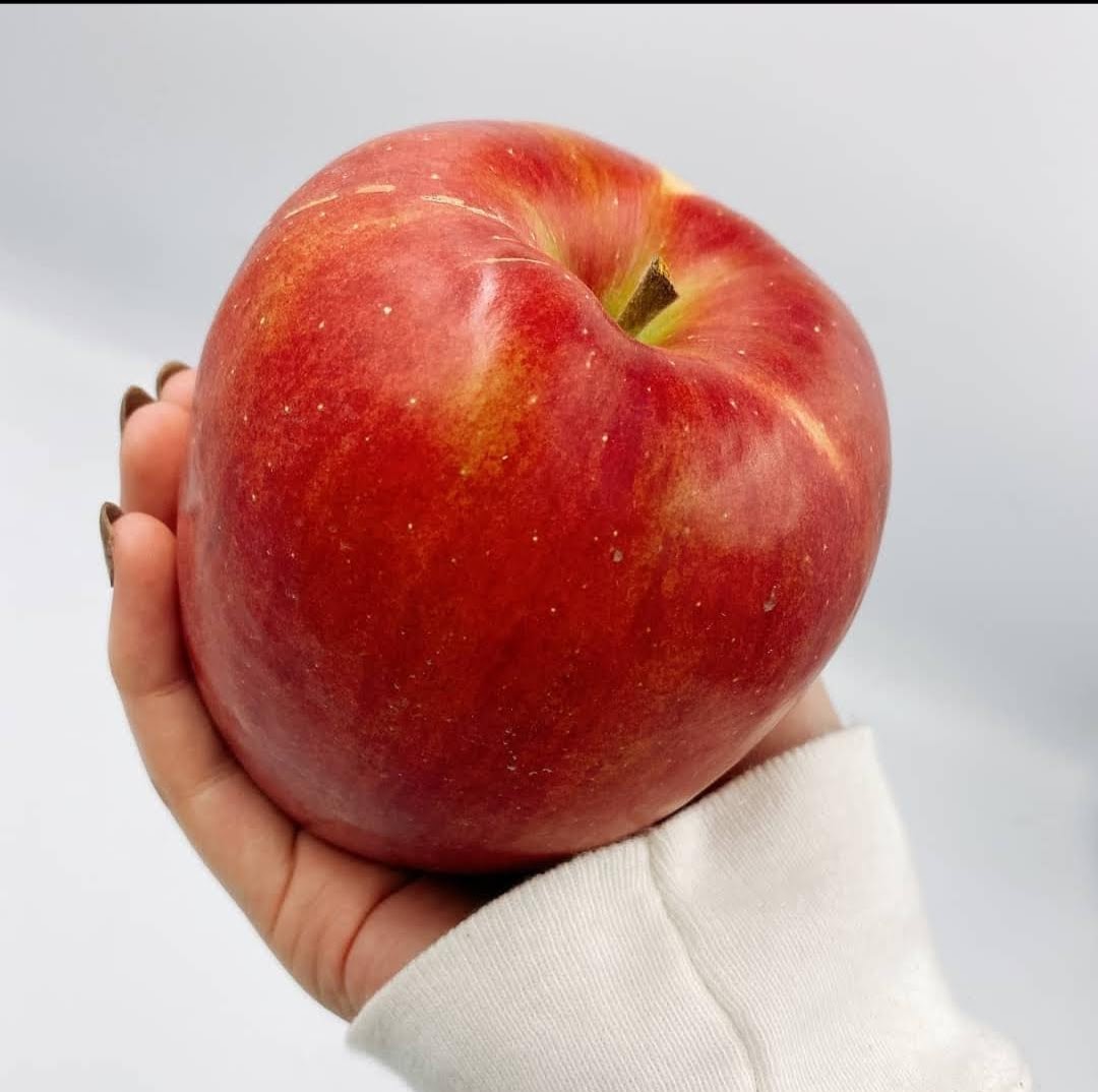 シナノスイートはどんな味？味の特徴や食感をご紹介 | ふるぅつふぁみり～