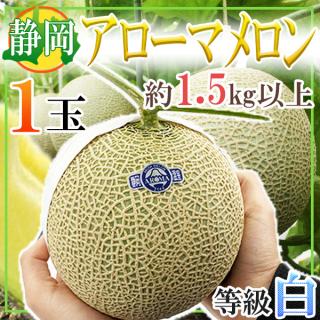 静岡県産　アローマメロン　1玉約1.5kg以上　等級白