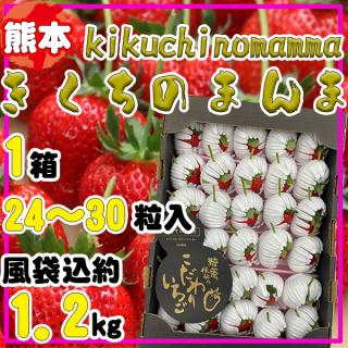 熊本県産　きくちのまんま　1箱24～30粒　約1.2㎏前後