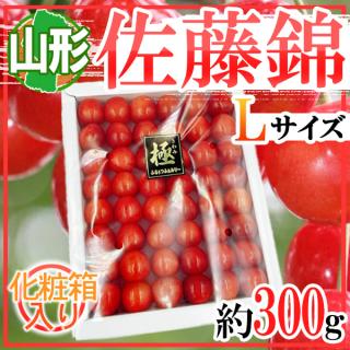 山形県産　佐藤錦さくらんぼ　L　箱込み約300g