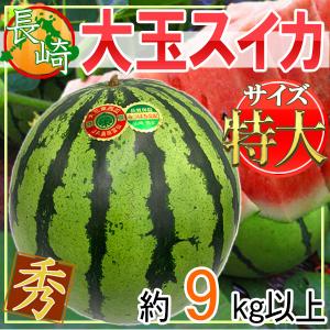 長崎県産　大玉スイカ　1玉約9㎏　特サイズ　秀品