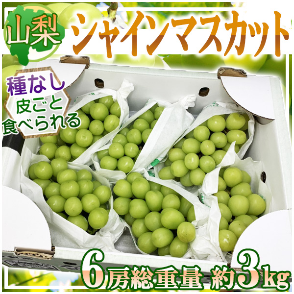 ふるぅつふぁみり～ / 山梨県産 シャインマスカット 5～6房 約3㎏ ※クール便発送