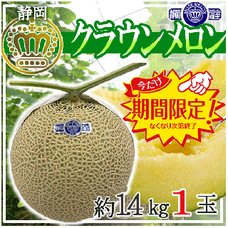 期間限定!!静岡県産 クラウンメロン 1玉入り　約1.4㎏