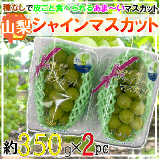 山梨県産　シャインマスカット　2パック　1パック350g　※クール便発送