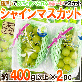 山梨県産　シャインマスカット　2パック　1パック400g　※クール便発送